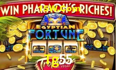 Casino Ao Vivo Tg55