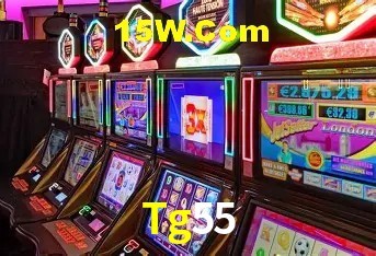 Tg55 - User Statistics